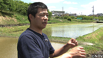クレイジージャーニー 世界最大 カエル ゴライアスガエル 加藤英明