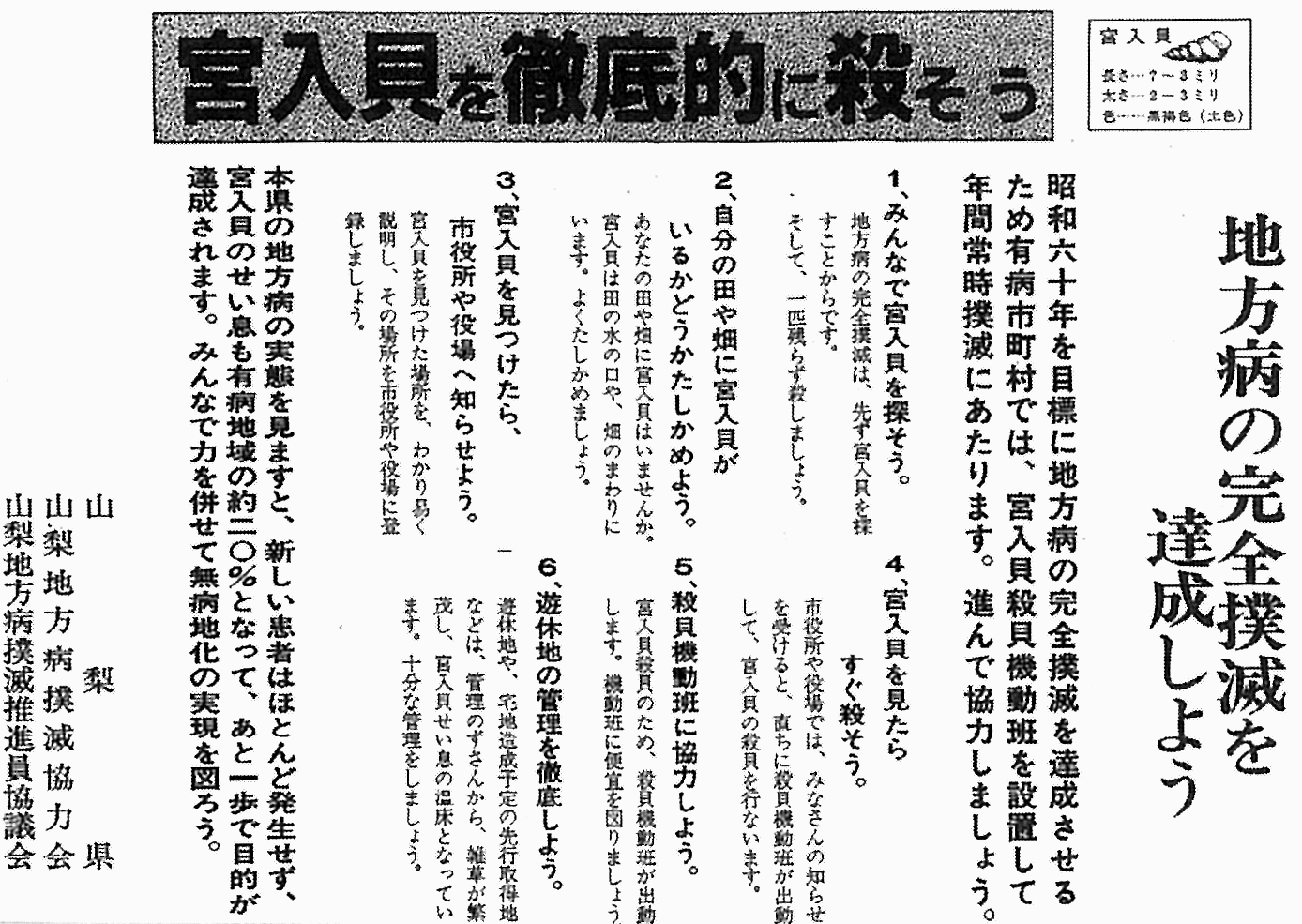 セイウチの牙の役目は天敵対策 アスカラ 明日から身になるためのニュース